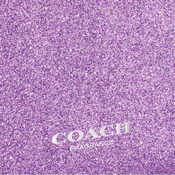 Coach Moonlight Pouch Bundle - Picture 2 of 3